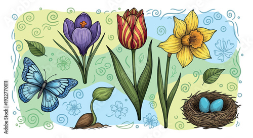 Vibrant spring flowers including crocus tulip and daffodil with a blue butterfly sprouting seed and bird nest containing eggs perfect for seasonal celebrations and natural themed projects