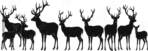 Elegant hand drawn deer sketch with large antlers isolated on white background for vintage wildlife and nature design.