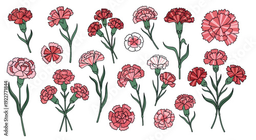 A vibrant collection of red, pink, and white carnation flowers with green stems, perfect for celebrating holidays and events or adding a cheerful floral touch to any project