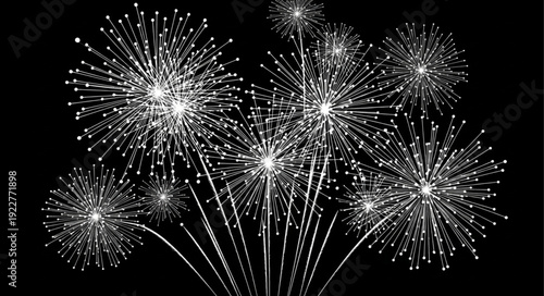 Spectacular display of fireworks illuminating the night sky with radiant bursts of light.