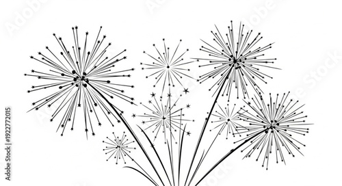 Fireworks display in black and white, a celebratory visual spectacle.