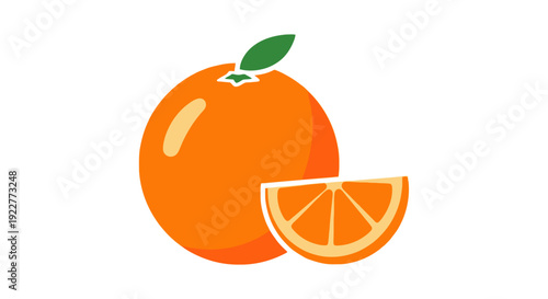 Fresh orange fruit slice and whole vector illustration isolated on white