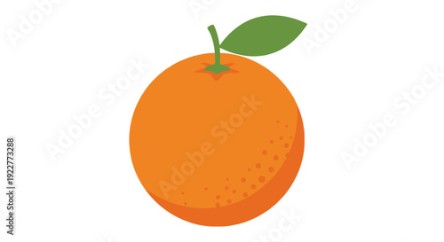 Fresh orange fruit with green leaf isolated on white background vector