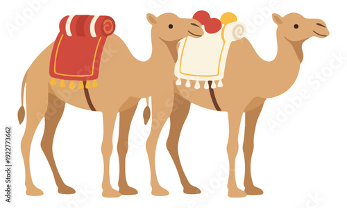 Two Dromedary Camels with Traditional Decorated Saddles & Blankets