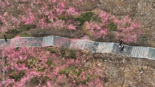 The natural scenery of Plum Ridge in Zhangjiagang's Fragrant Hill