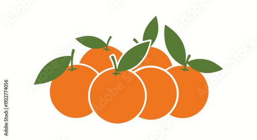 Fresh oranges with green leaves on white background vector illustration