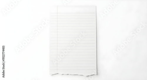 Blank white lined paper torn at the bottom on a plain background for design use
