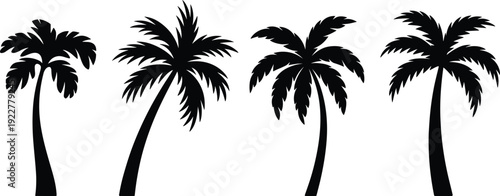 Black tropical palm tree silhouettes isolated on white background, exotic island beach vector collection of summer coastal plants for decorative design