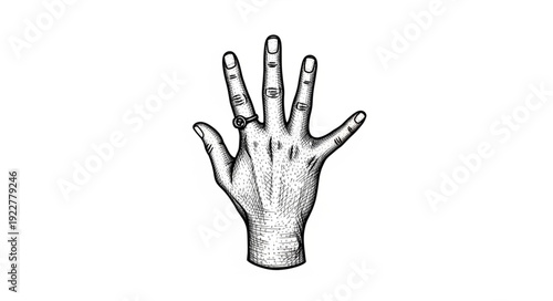 Detailed hand illustration showcasing fingers and palm with intricate lines and textures.