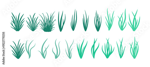 Collection of Green Grass Tuft Illustrations on White Background