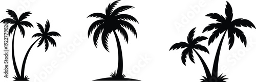 Black tropical palm tree silhouettes isolated on white background, exotic island beach vector set with decorative summer nature plants for coastal design