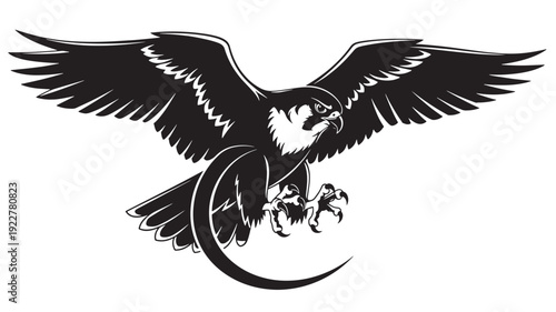 Black and White Falcon Eagle Hawk Bird Vector Illustration