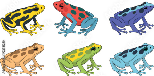 Collection of colorful poison dart frogs isolated on white background, tropical amphibian set with bright patterns, exotic wildlife cartoon vector illustration