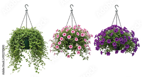 Hanging flower baskets with vibrant blooms, green foliage, decorative garden plants, colorful floral arrangement, patio decor, ornamental gardening inspiratio