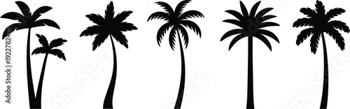 Collection of tropical palm tree silhouettes isolated on white background, black coconut palm vector set for summer beach design, island travel branding and exotic nature illustration