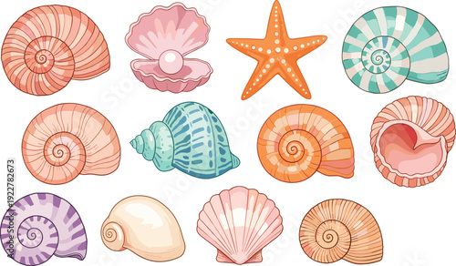 Colorful Seashell Collection with Starfish Scallop Spiral Shells and Nautical Beach Elements Pastel Marine Vector Illustration Set