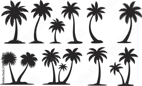 Large collection of tropical palm tree silhouettes isolated on white background, black coconut palm vector set for summer beach design, island paradise branding and botanical illustration
