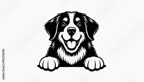 Bernese Mountain Dog SVG