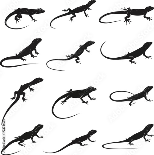 Seamless pattern with lizards silhouettes. sets of lizard silhouettes vector art with white background