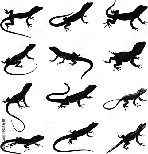 Create a sets of lizard silhouettes vector art with white background
