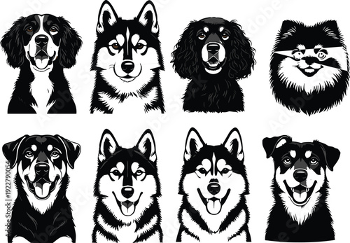 Black and white vector illustration set of eight dog breeds portraits including husky, rottweiler, pomeranian and spaniel isolated on gray background flat design style