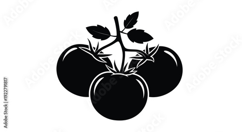 Black and white illustration of a tomato plant with ripe tomatoes