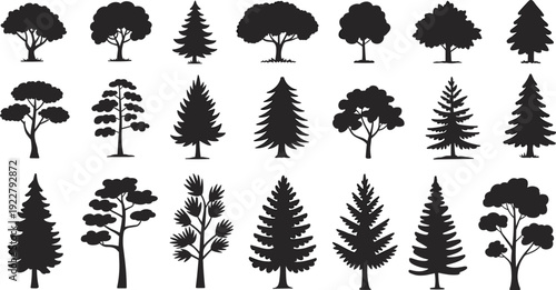 Set of black tree silhouettes including pine fir deciduous and oak species icons for nature forest landscape and environment design isolated on white background