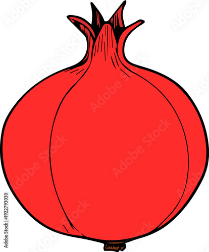 Vector Illustration of a Red Pomegranate