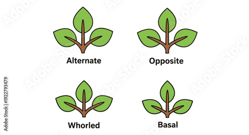 Leaf arrangement modern bold tone illustration