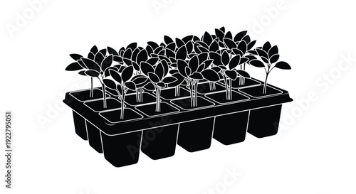 Black and white illustration of seedlings growing in a plastic tray