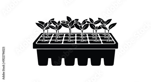 Black and white illustration of seedlings growing in a seed tray