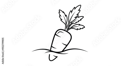 Simple line drawing of a carrot with green leafy tops growing from soil