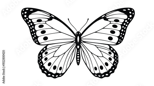 Symmetrical black and white line art illustration of a monarch butterfly with open wings isolated on a white background.