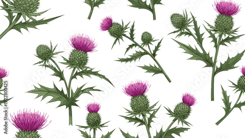 Seamless botanical pattern featuring detailed illustrations of purple thistle flowers and spiky green leaves on a white background.