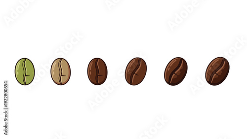 Different roasting stages of coffee beans from raw green to dark roasted are shown in a horizontal row on a white background.