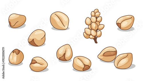 Assorted cereal grains and a single ear of grain are scattered on a white background to show different types of seeds.