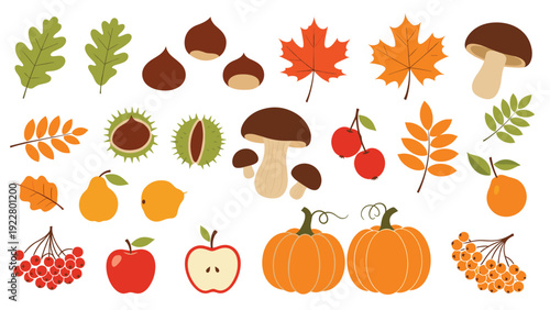 Assorted autumn harvest items like pumpkins, apples, pears, mushrooms, chestnuts, and leaves representing the fall season abundance.