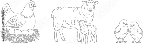 Collection of farm animal illustrations for children with simple design