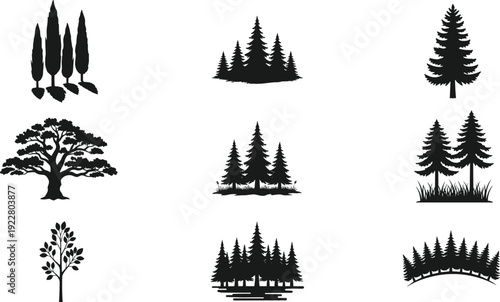 Forest tree silhouette vector collection with pine fir cypress and woodland landscape elements isolated on white background