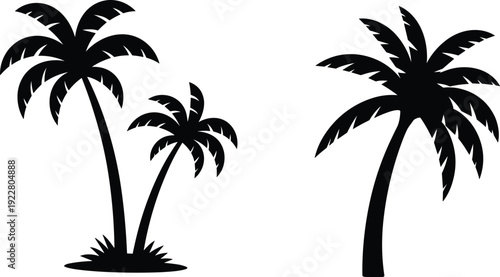 Tropical palm tree silhouettes isolated on white background, black coconut palm vector illustration set for summer beach design, island travel branding and exotic nature themes
