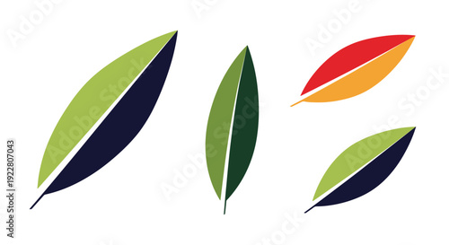 Long leaf Line art soft clean color vector