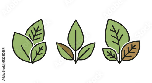 Natural remedy leaf abstract colorful art illustration