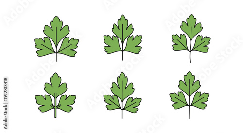 Parsley leaf Line modern abstract tone vector