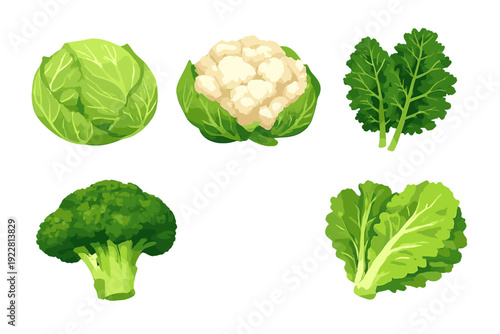 A collection of five different green vegetables including cabbage, cauliflower, kale, broccoli, and lettuce, presented as digital illustrations against a solid black background.