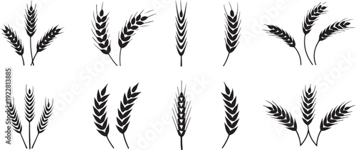 wheat ear logo elements for packaging and agricultural design