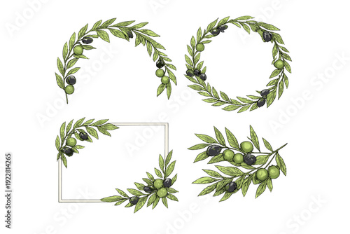 A collection of four handdrawn olive branch illustrations including a wreath, a semicircle, a rectangular frame, and a single branch with green and black olives on a black background.