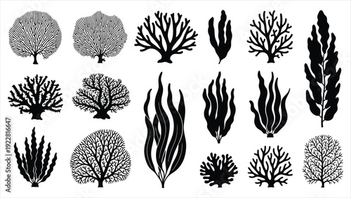  Marine Reef & Coral Silhouette Vector Icon Set – Solid Black.