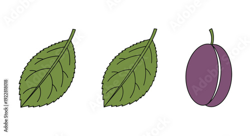 Plum leaf Line art minimal abstract style vector