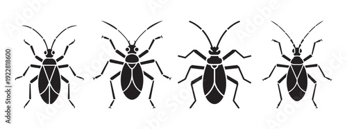 Four Black Silhouette Beetles in a Horizontal Line, Isolated on White