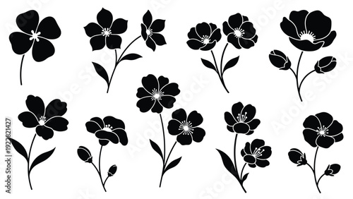 Collection of black flower silhouettes and botanical branches on a white background for elegant and minimalist nature related designs.